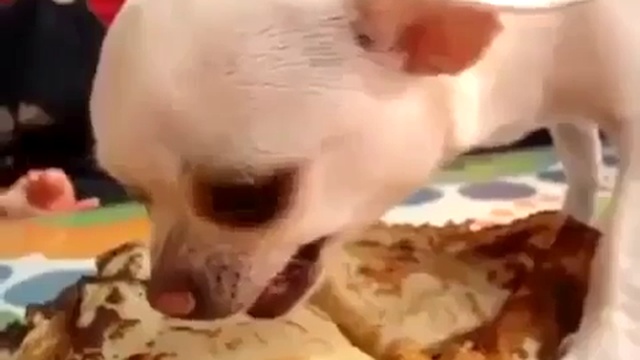 Маленький жадина смотреть онлайн