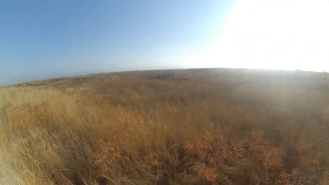 ОХОТА на ФАЗАНА. Большая прогулка. смотреть онлайн