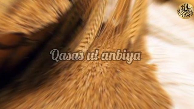 3 Roze Imam Ali Bibi Fatima Ke Ghar|5 Tanpak Ne 3 Roze Rakhy|Rasulallah Ne Shukar kia|Qasasulanbiy смотреть онлайн