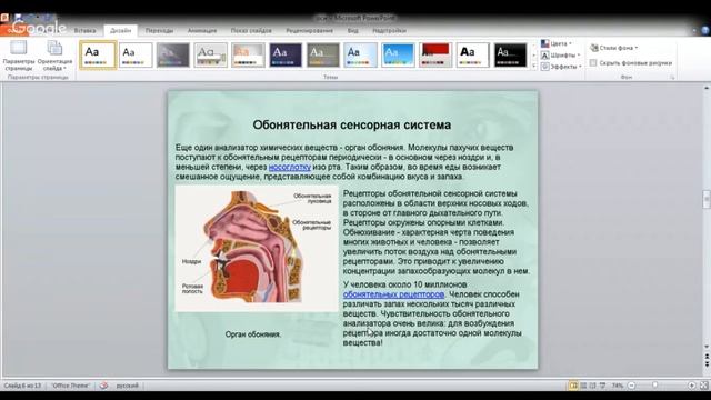 ЕГЭ по биологии 11 класс. Занятие 41 смотреть онлайн