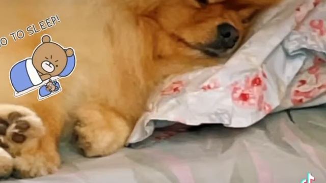 Если можно оставьте лайки и комментарии 🙏🏼🙏🏼🙏🏼❤️❤️❤️🥰 смотреть онлайн