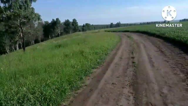 Саня Жук приехал! смотреть онлайн