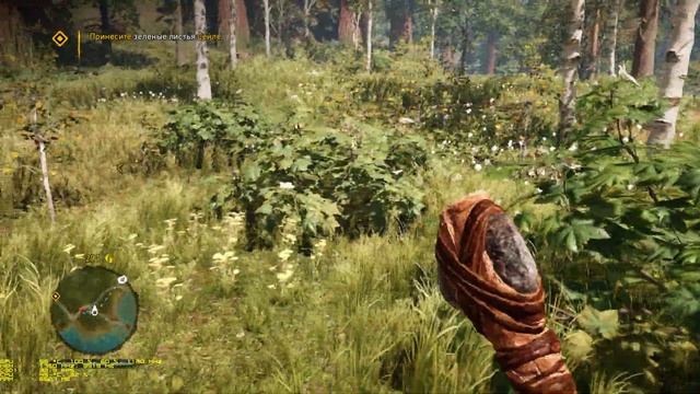 Far Cry Primal (2016) on Core i7-3770K + Radeon RX 560 4gb смотреть онлайн