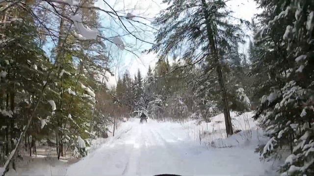 Ride the BRP skidoo tundra 600 ace into the forest 5 minutes length video on you tube смотреть онлайн