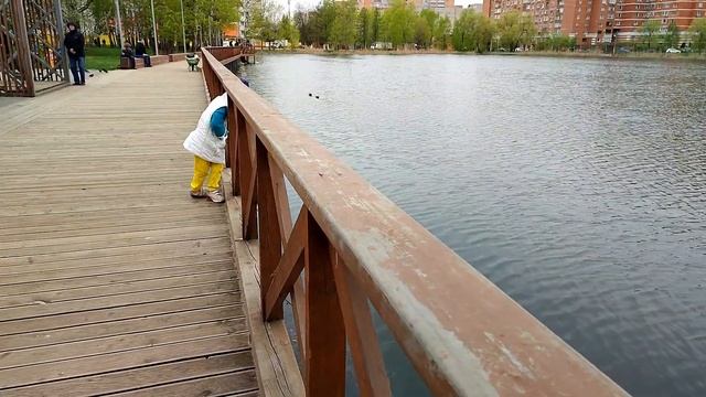 Прогулка по Лесу)))?Лысый КОТ)))В гостях у сестер/// смотреть онлайн