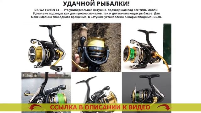 Катушка Дайва сертейт 2021 отзывы смотреть онлайн
