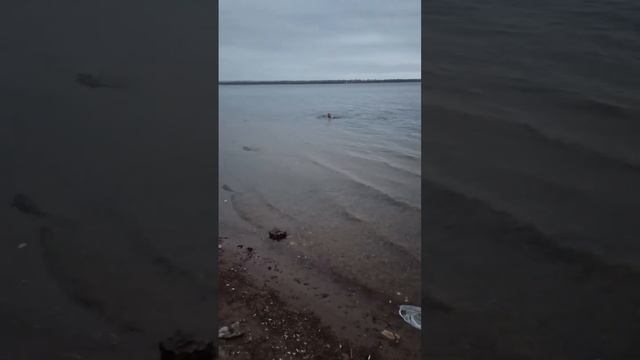 2 ноября, решил после работы искупаться, на улице 10 градусов тепла, а температура Волги 5 градусов смотреть онлайн