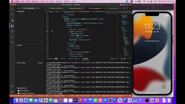 Test Push notifications in IOS simulator in flutter смотреть онлайн