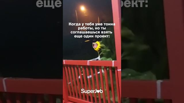 Возьму-ка еще проектик смотреть онлайн