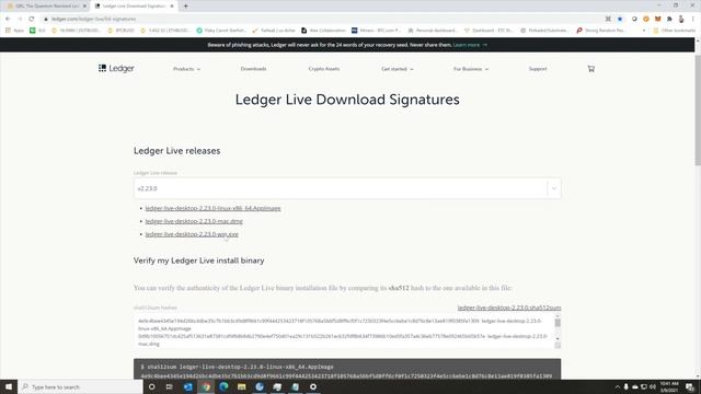 How do you Create a Quantum Resistant Wallet? Full QRL Wallet Walkthrough смотреть онлайн