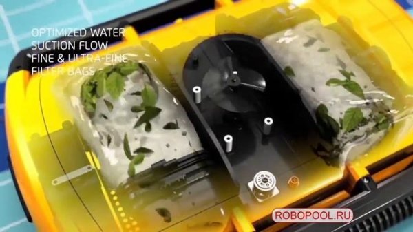 Dolphin Wave 300 XL новейшая модификация