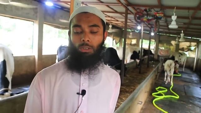 অধিক দুধ পেতে কম খরচে গাভীকে দানাদার খাবার দিবেন যেভাবে dairy farm смотреть онлайн
