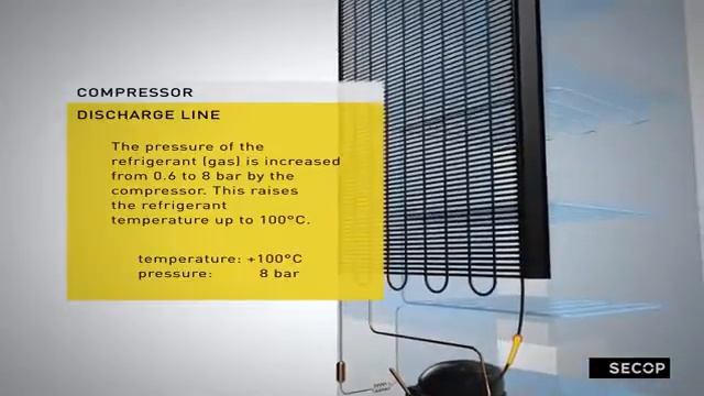 Принцип работы холодильника "Бирюса" смотреть онлайн