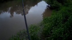 Рыбалка на Упе. Сомы клюют на каждом забросе.Рыбалка  вдали от людей.