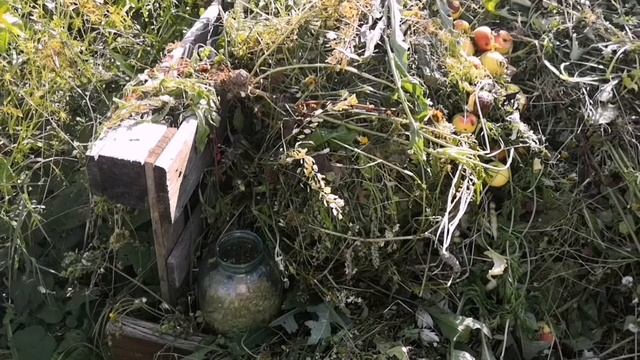 Разведение ОПАРЫША без запаха. смотреть онлайн
