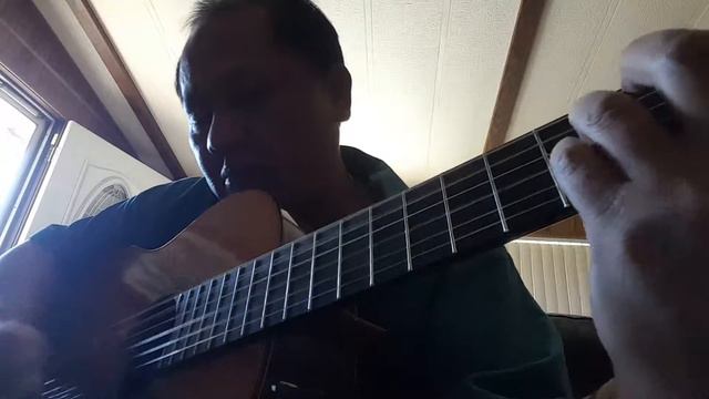 The House of The Rising Guitar Solo смотреть онлайн