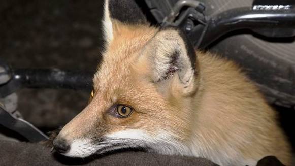 355 Rachel Portman - Vianne Sets Up Shop смотреть онлайн