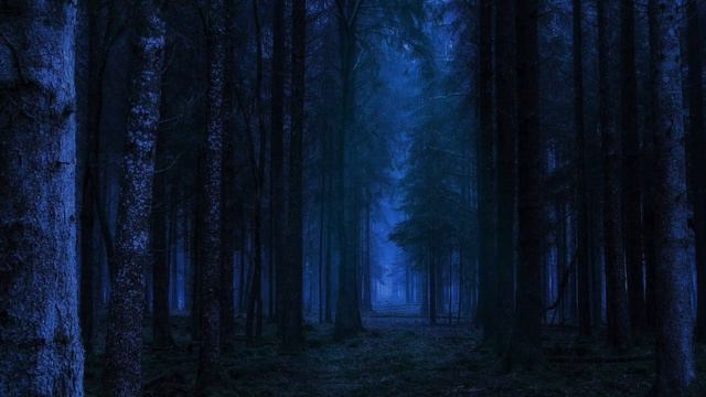 Lost and Forgotten | Dark, Ambient, Mysterious Music смотреть онлайн