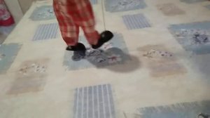 Как управлять марионеткой?