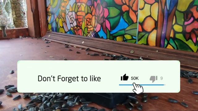 ?Рейд Домовых и Полевых Воробьев в кормушку ??? / House Sparrows and Field Sparrows Teamed Raid смотреть онлайн