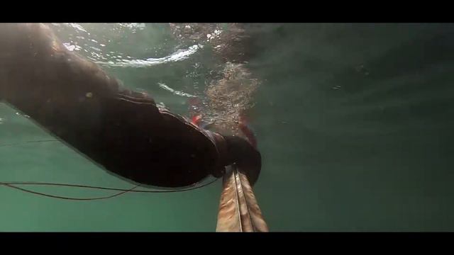 Подводная охота в Черном море смотреть онлайн