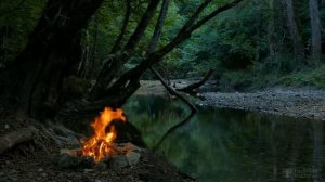 Какой горшок нужен для бегонии клубневой?