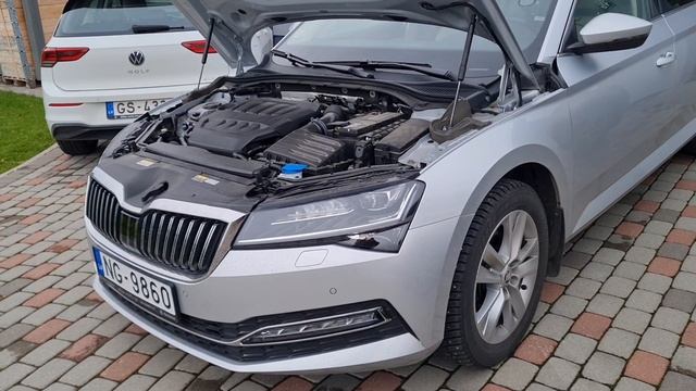 Skoda Superb | Листья в подкрыльниках | смотреть онлайн