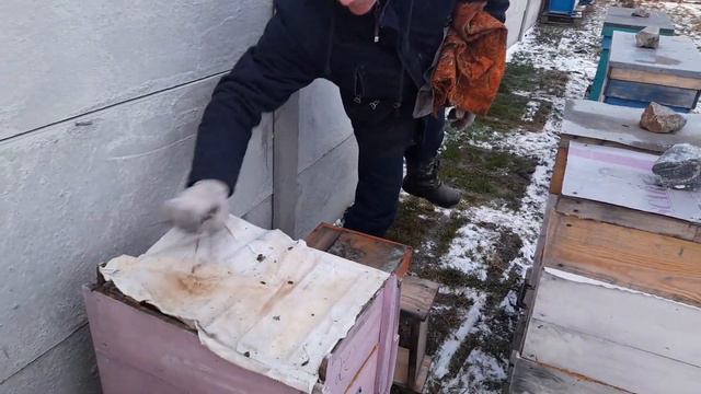 Пасіка 6 лютого 2023 р. смотреть онлайн