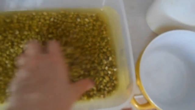 Проращиваем!!! МАШ!!!:))) смотреть онлайн