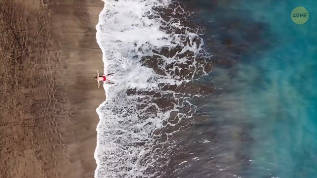 Почему мегалодон боялся бы дельфинов, если бы жил сегодня смотреть онлайн