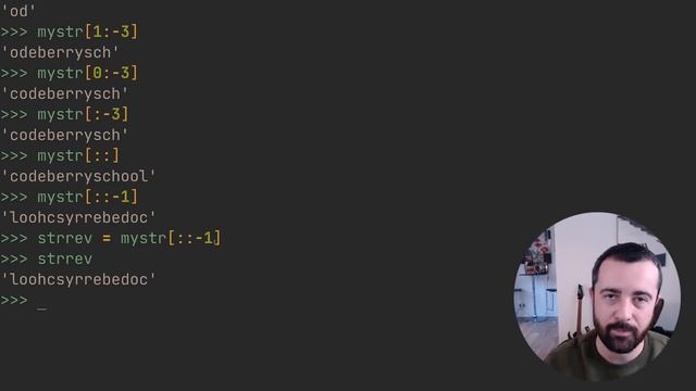 How to reverse a string in Python – Python tutorial for beginners – CodeBerry Programming School смотреть онлайн