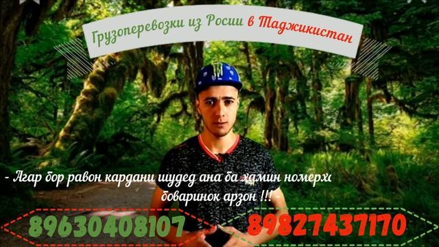 Грузоперевозки из Росии в Таджикистан 89630408107 89827437170 смотреть онлайн