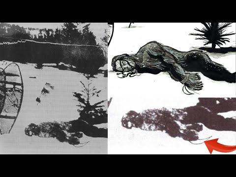 The First Photo Of Bigfoot And The Origin Of The Great Bigfoot Cover Up