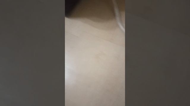 в чём лучше (ламинат) чем(SPC) ? смотреть онлайн