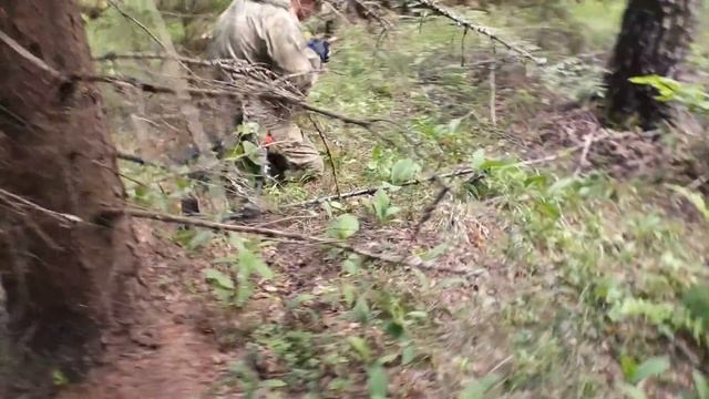 УРА! ЗОЛОТОЙ КАМЕНЬ, ДЕНЕЖНЫЙ ПОХОД В ЛЕС!