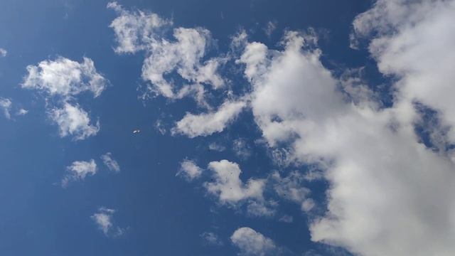 это не голуби. это ракеты ? который завоюет мир ? смотреть онлайн