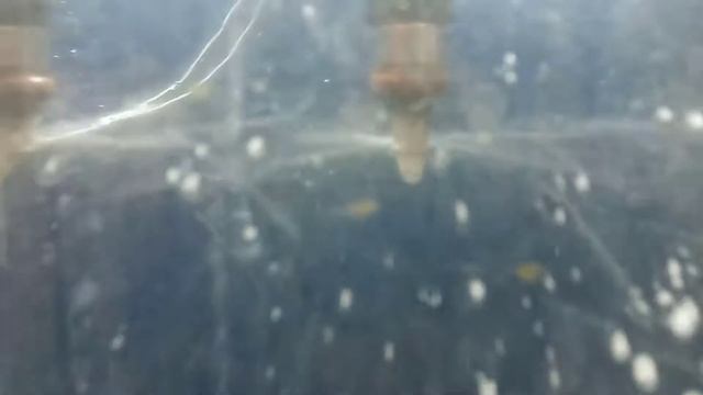 Проверка метановых форсунок 2021,03,11 смотреть онлайн