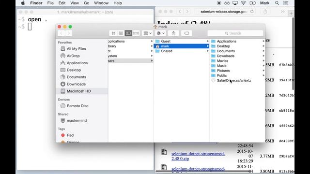 Setting Up SafariDriver — Selenium WebDriver смотреть онлайн