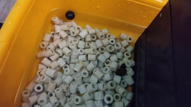 Что делать, когда фильтр долго не работал!? смотреть онлайн