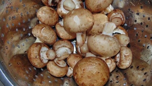 Книга рецептов