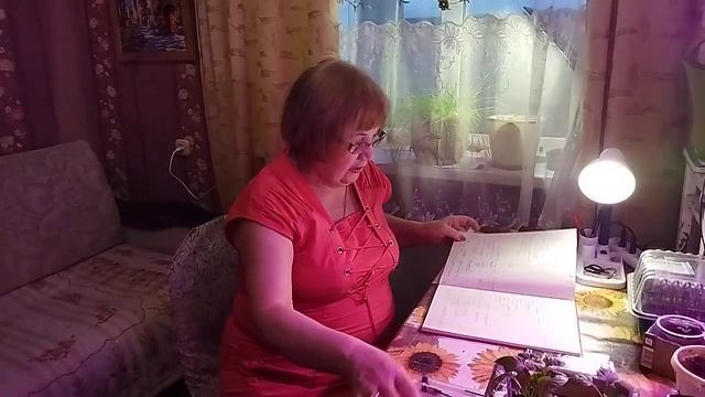 РАСТИШКИ ОСТРОГО ПЕРЦА. ЧТО НЕ ТАК? смотреть онлайн