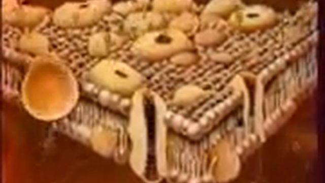 Строение плазматической мембраны клетки