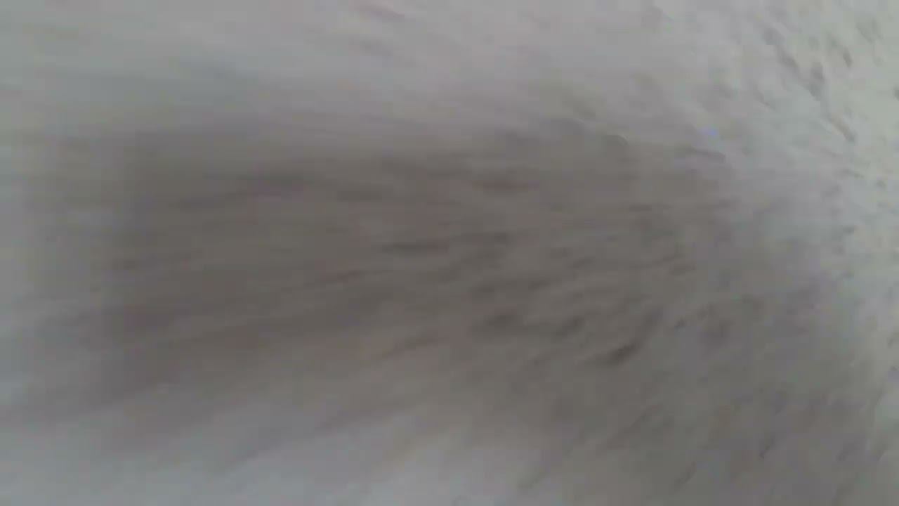 жидкие обои, Комфортный дом