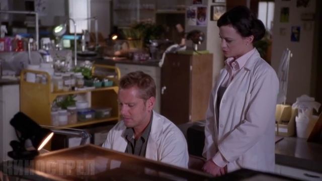 Скоро эта пара родит много маленьких ядовитых жуков смотреть онлайн