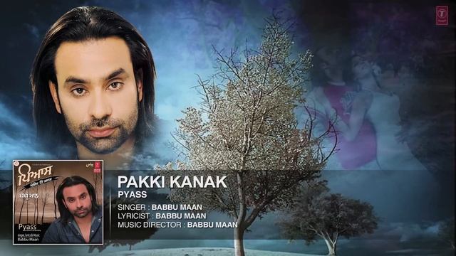 Babbu Maan | Punjabi Audio Song | Pakki Kanak | Punjabi Hit Song | T-Series Apna Punjab