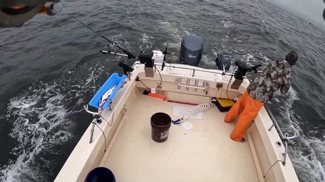 Salmon limits by 10:30 out the Golden Gate with Gramdma смотреть онлайн