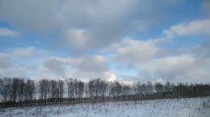 Сайга 223, Загонная охота попытка #1