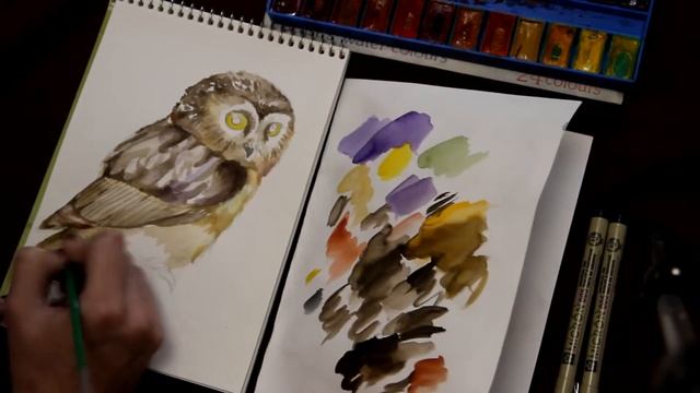 Drawing owl | Рисуем сову смотреть онлайн