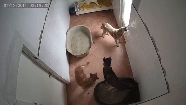 Седина в бороду - бес в ребро? смотреть онлайн