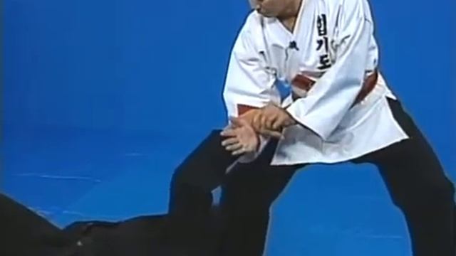 Hapkido   Green Belt